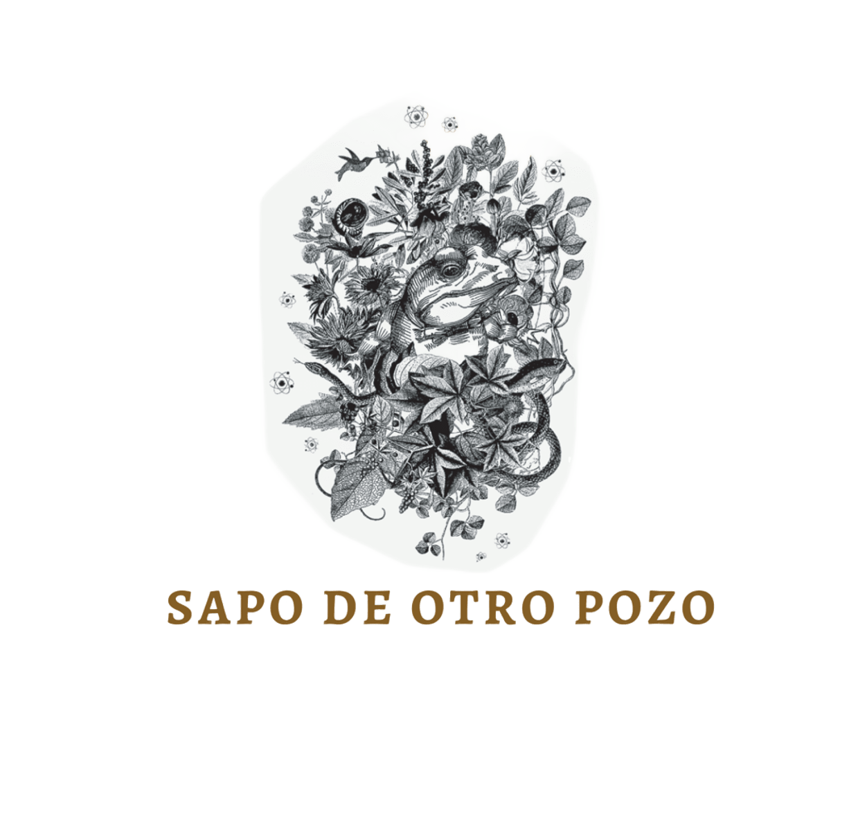 Sapo de Otro Pozo